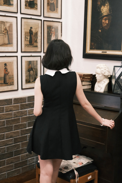Colette Lace Collar Mini Dress