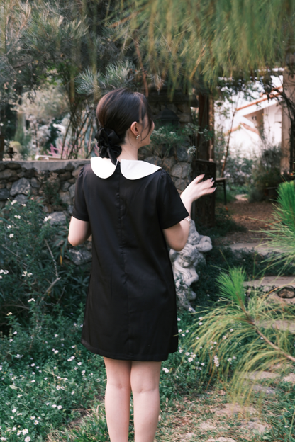 Daphne Peter Pan Mini Dress in Black