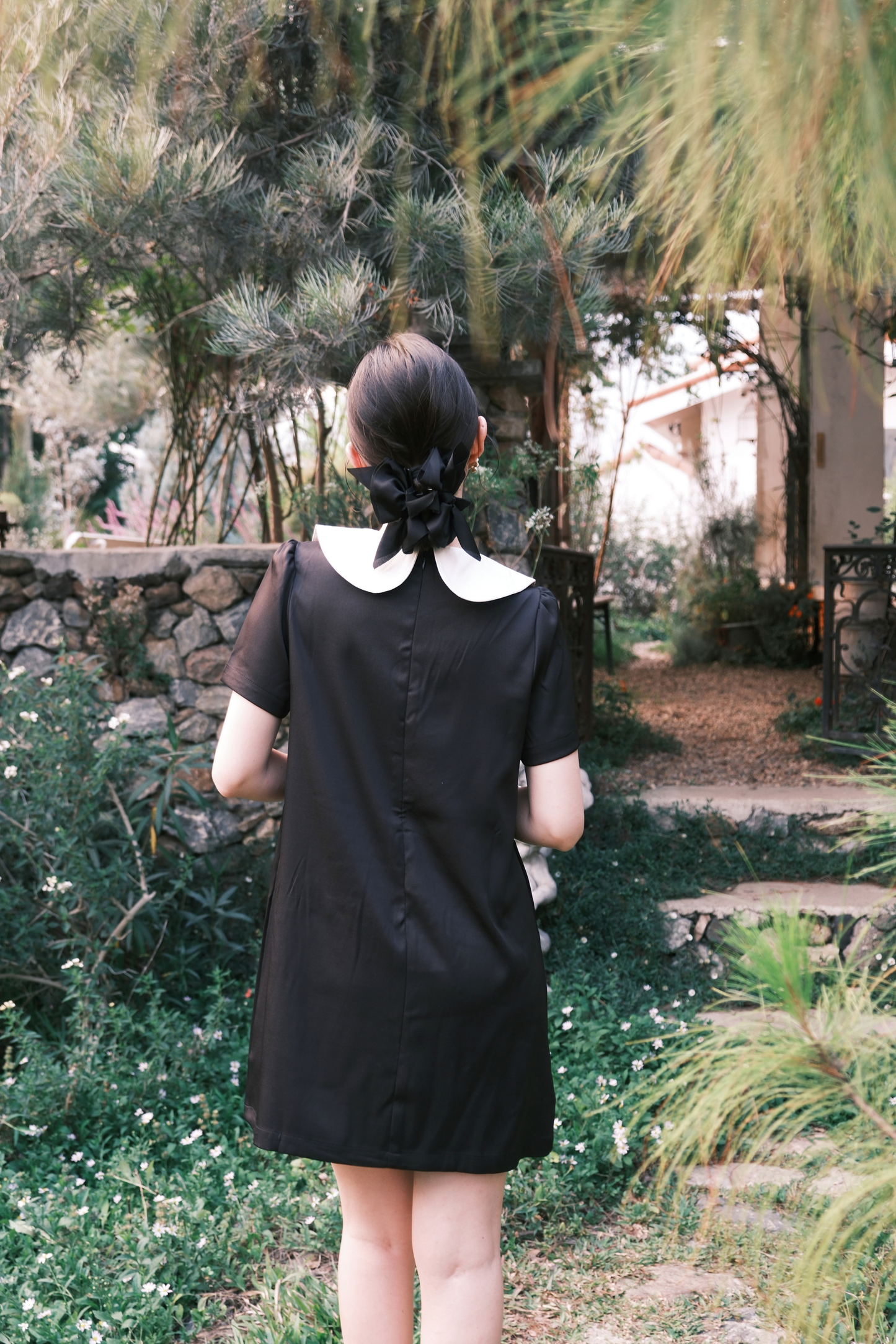 Daphne Peter Pan Mini Dress in Black