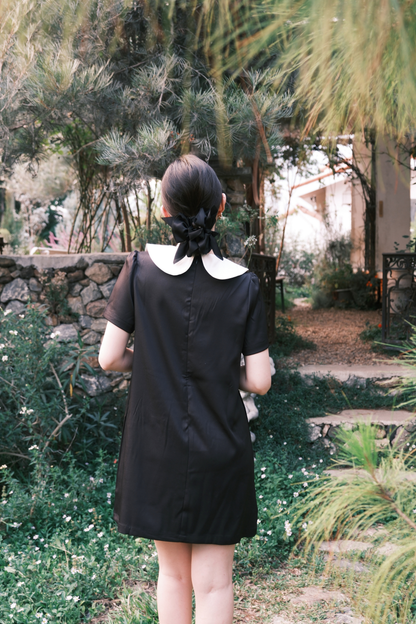 Daphne Peter Pan Mini Dress in Black