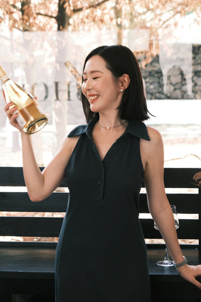Astra Everyday Chic Dress