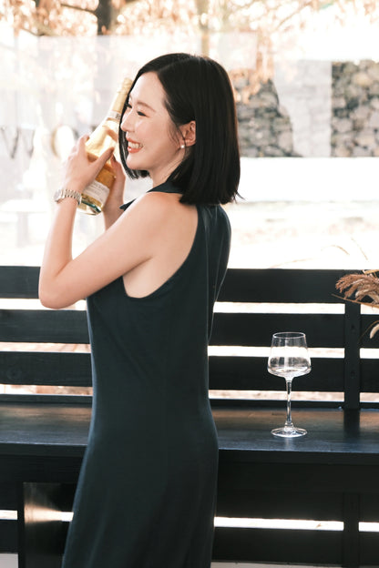 Astra Everyday Chic Dress