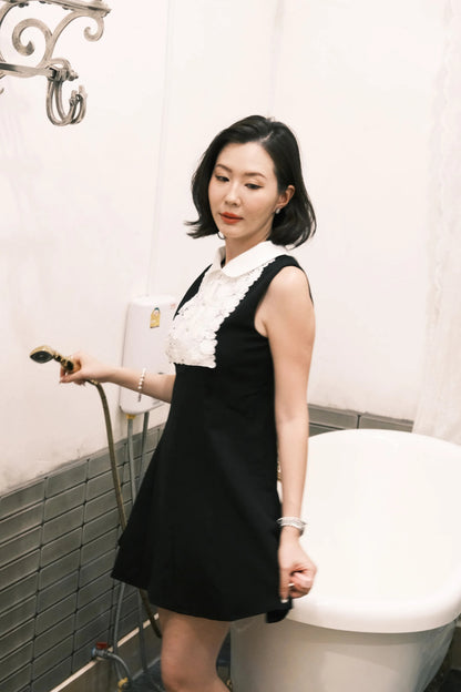 Colette Lace Collar Mini Dress